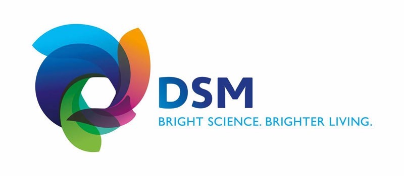 DSM