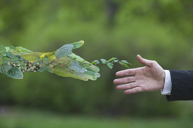 Gestão Ambiental – Semana do Meio Ambiente