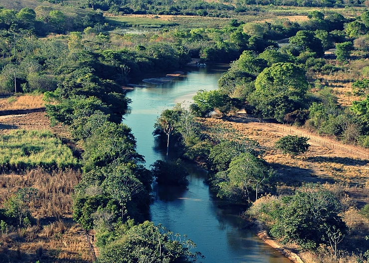 O que são matas ciliares?
