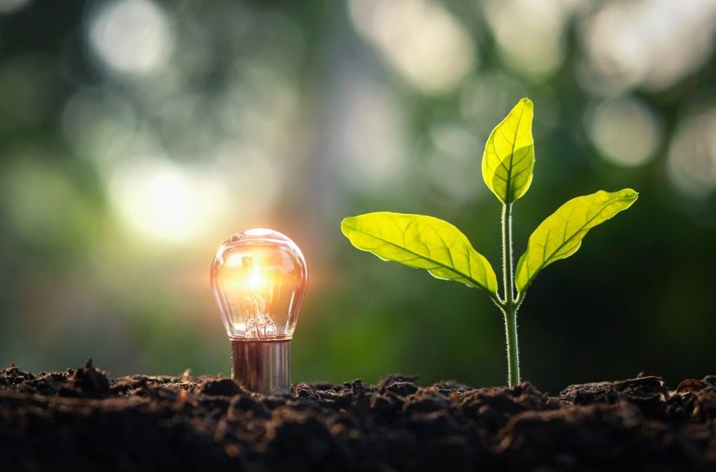 Energia verde: quais são os principais impactos ambientais?